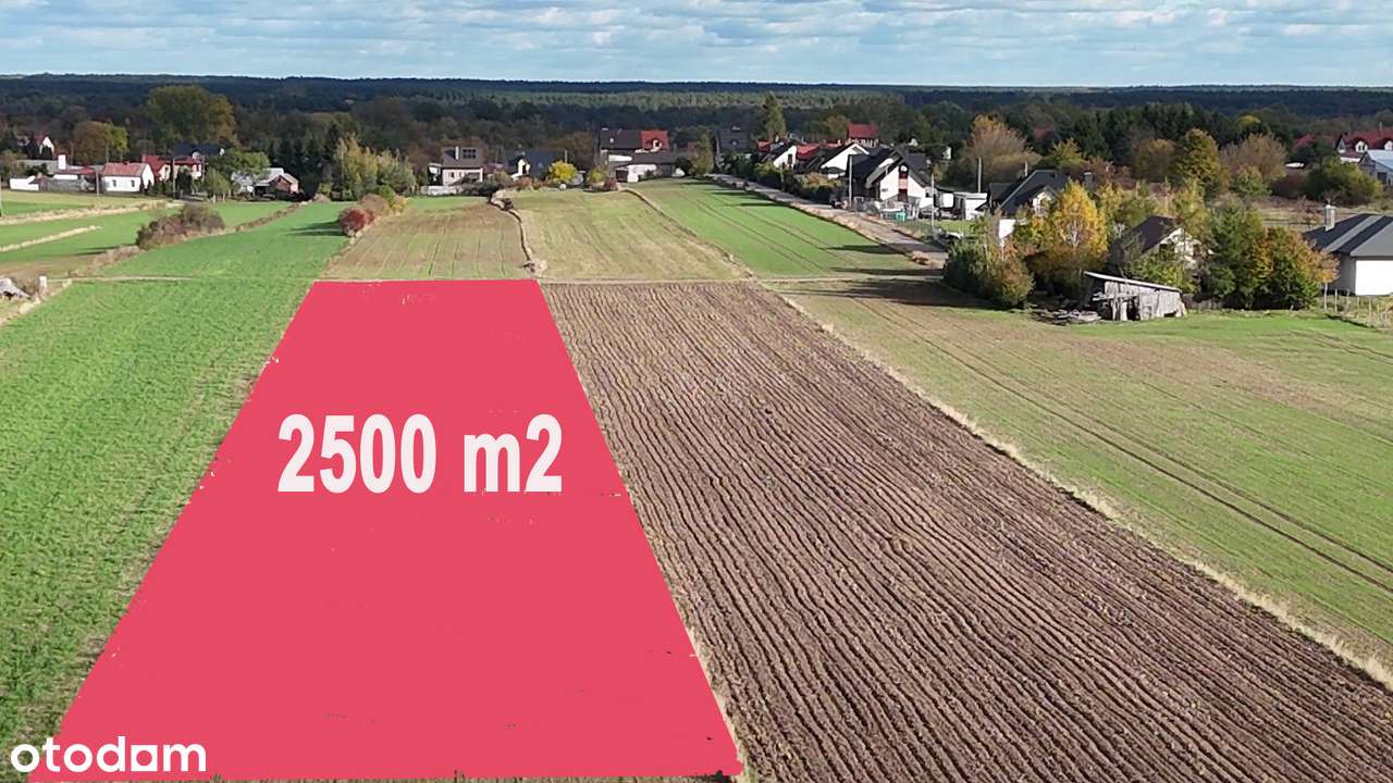 DZIAŁKA 2500 m² NA SIEDLISKO DOCELOWE( 50 km W-WA)Aktywny Relaks - Pełny obrazek: 5/7