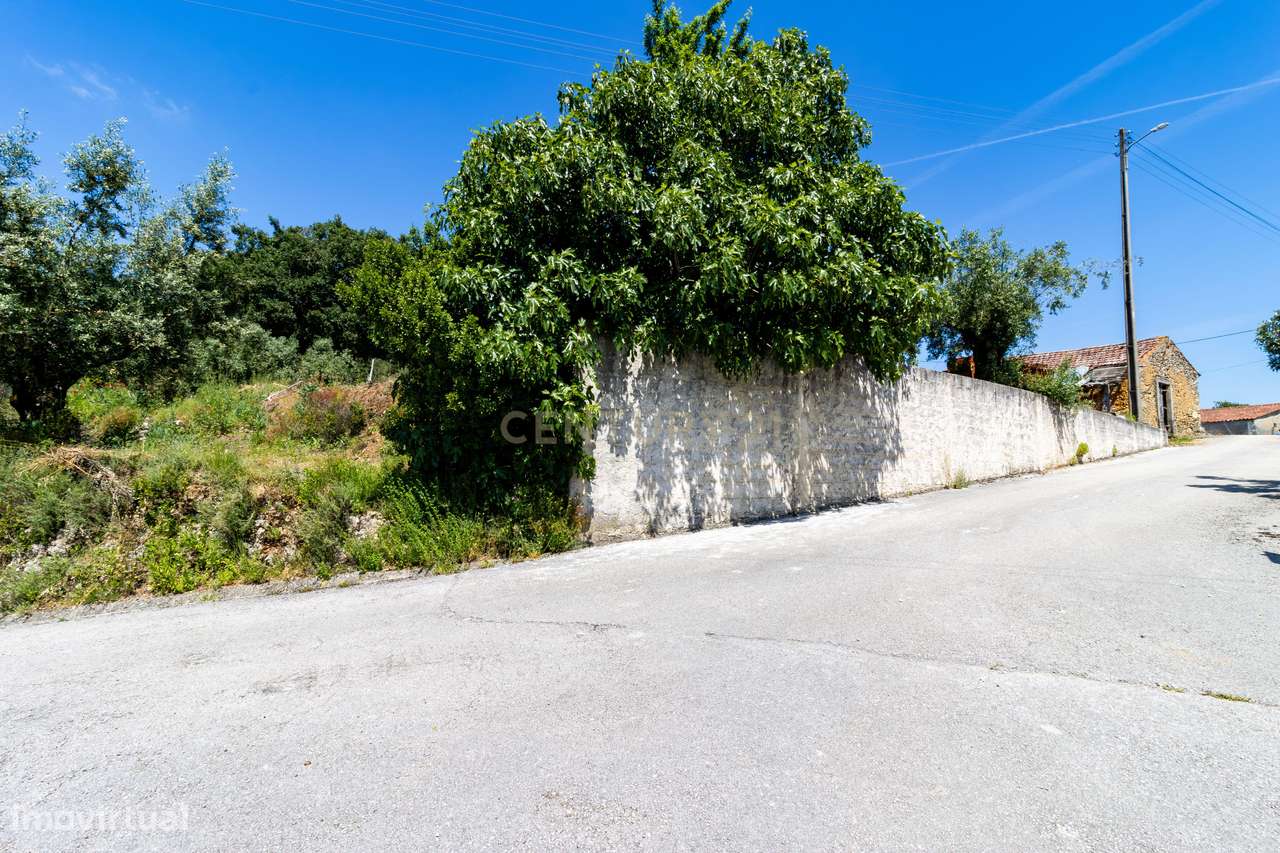 Terreno com ruina de arrumos Casais da Abadia ,Caxarias com Árvores Fr - Grande imagem: 4/8