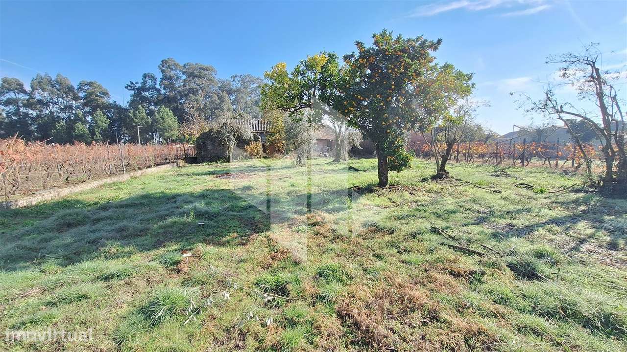 Moradia Devoluta T1 Venda em Molelos,Tondela-16