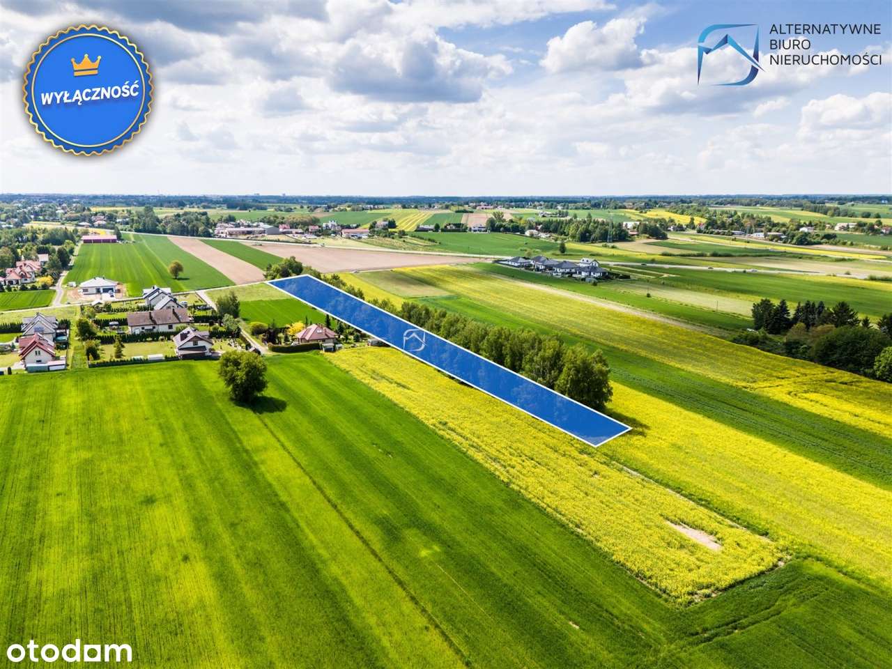 Działka rolno-budowlana w Majdanie Krasienińskim - Pełny obrazek: 4/7