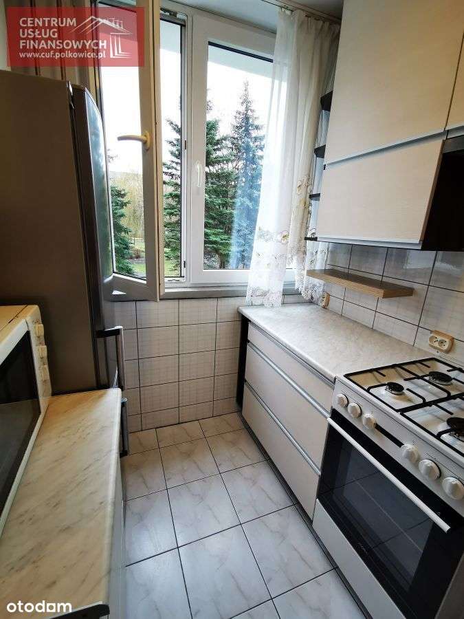 Mieszkanie 2 pokoje na wynajem/ 1 piętro - Pełny obrazek: 5/14