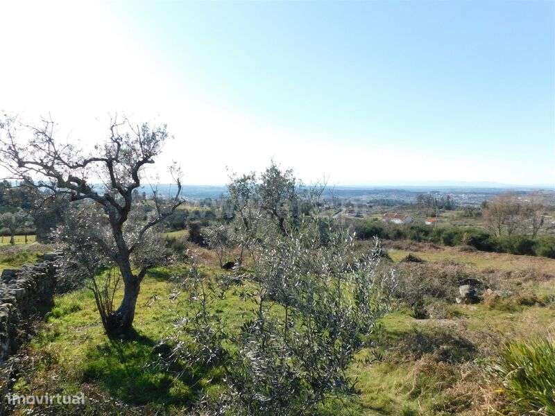 Terreno com ruina / Seia, Santa Marinha e São Martinho - Grande imagem: 5/13
