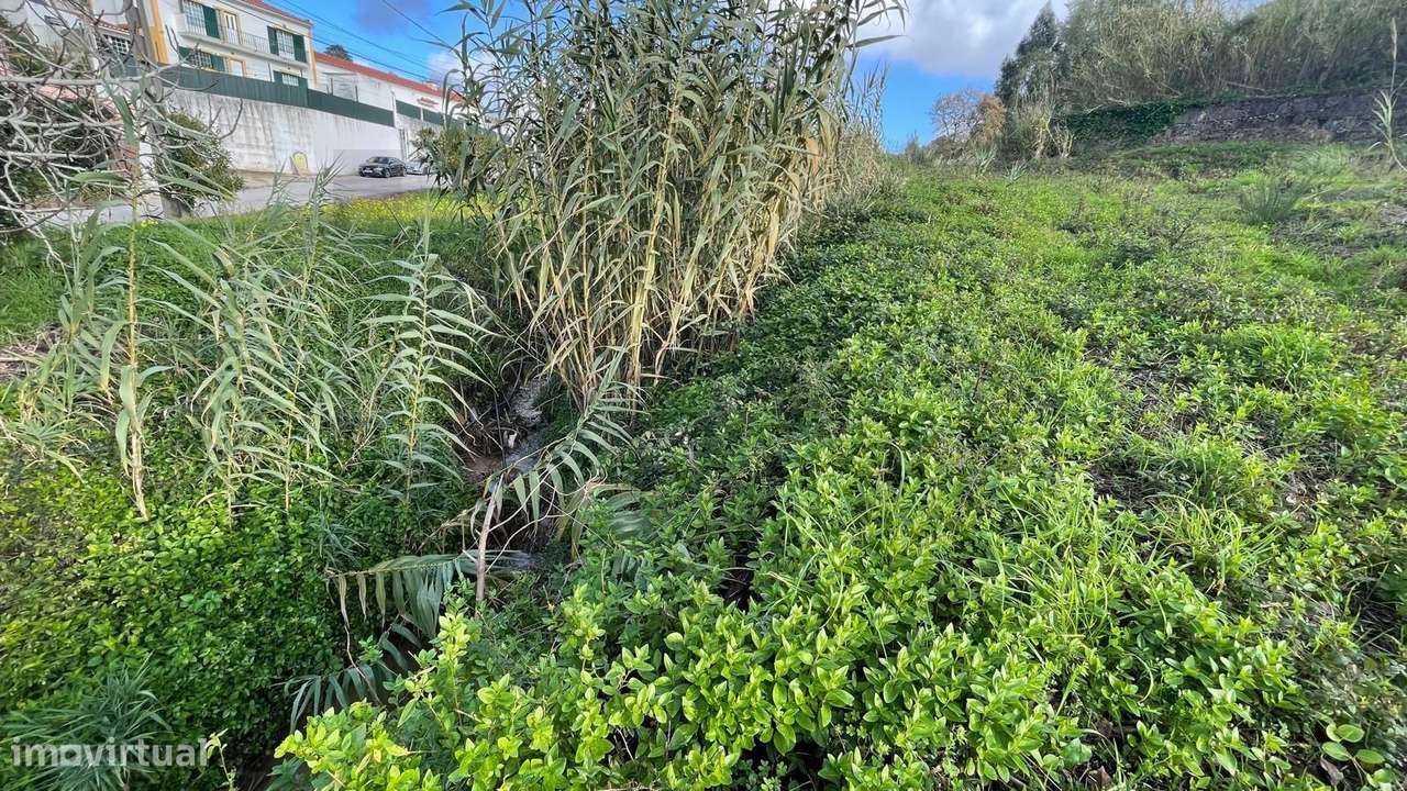 Lote Urbano em Mafra - Grande imagem: 3/10