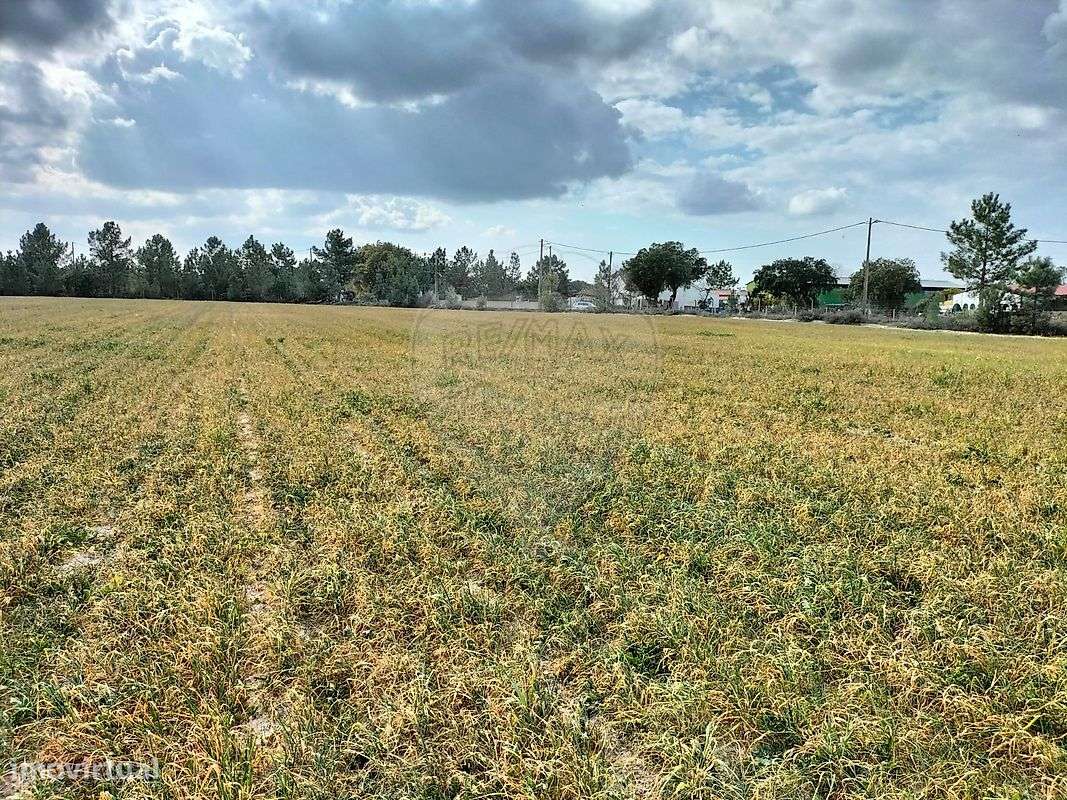 Terreno  para venda - Grande imagem: 5/28