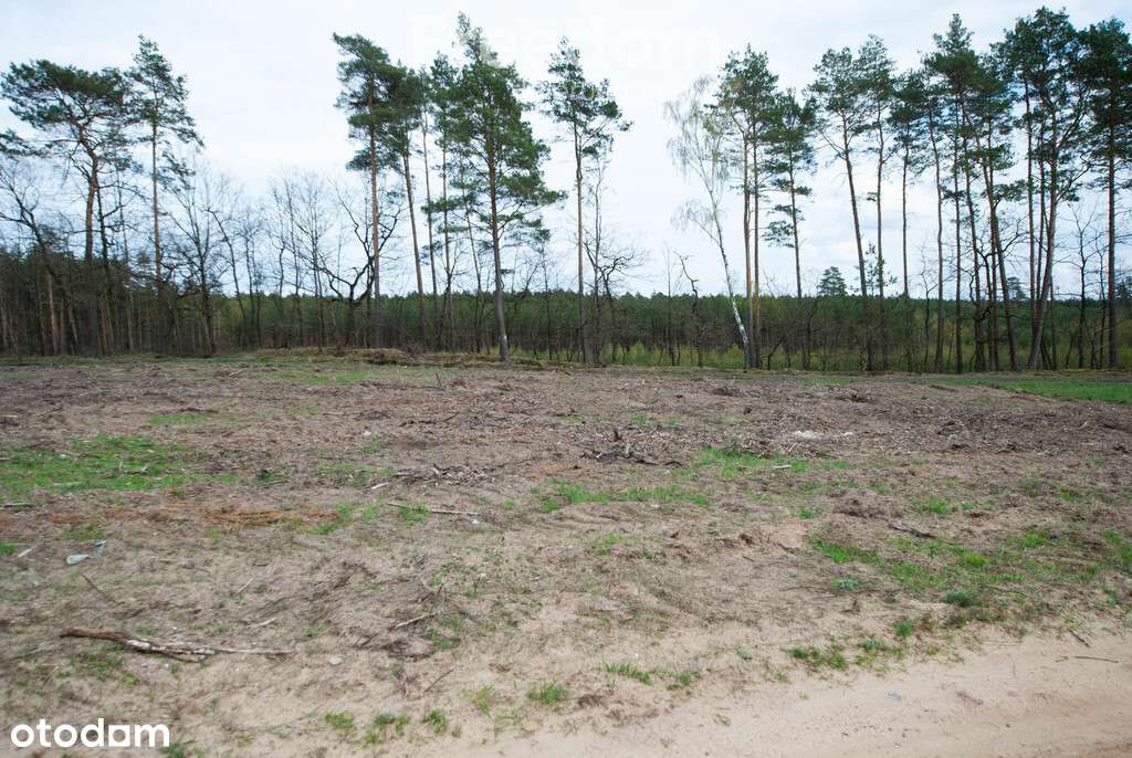 Działka budowlana przy stoku w Chodzieży - Pełny obrazek: 5/7