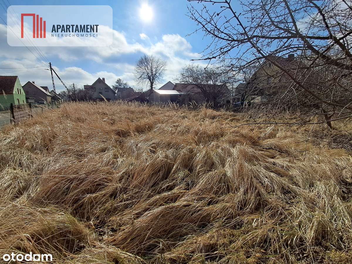 Dom na wsi do własnej aranżacji na dużej działce. - Pełny obrazek: 4/13