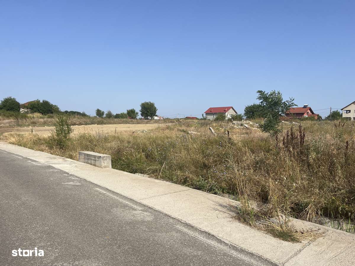 Teren 1139mp Albota-5