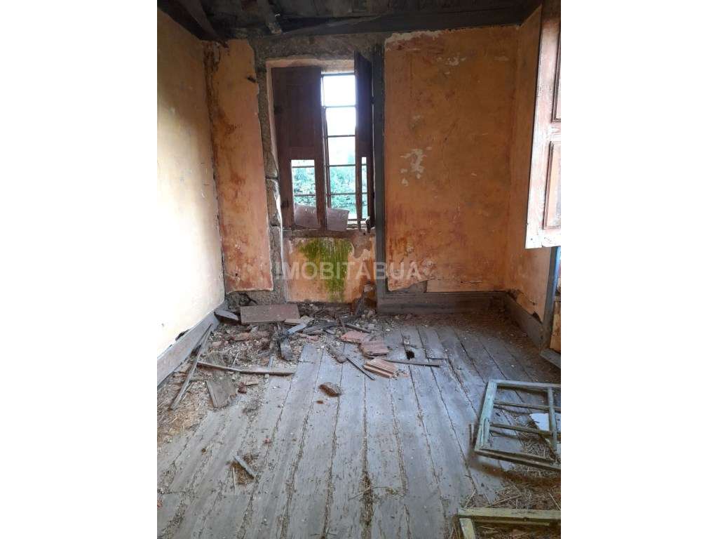 Quinta de Mirtilos com mais de 3 Hectares, localizada perto de Tondela-24