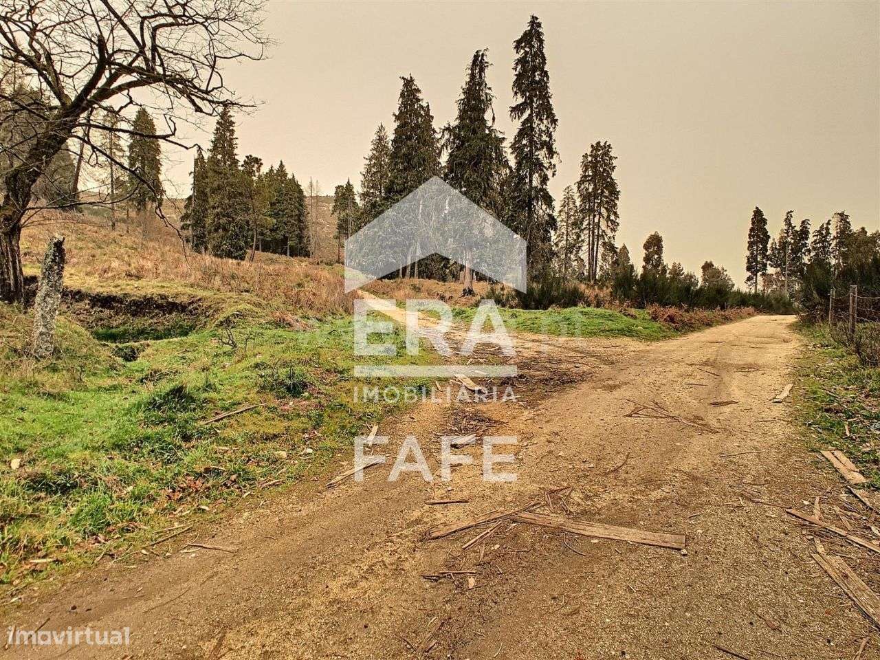 Terreno com 191.000 m2 em Basto S. Clemente - Celorico de Basto - Grande imagem: 5/17