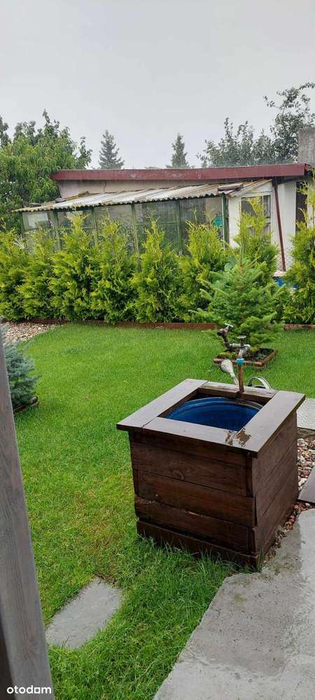 Tania i zadbana działka ROD w Szamotułach - Pełny obrazek: 5/9