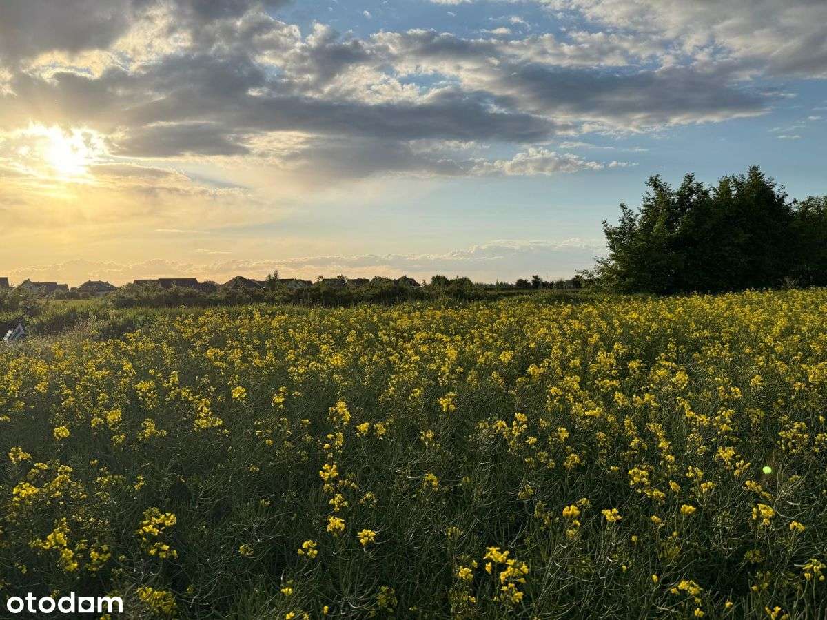 Działka z pozw. na budowę na piękny dom Żerniki Wr-9