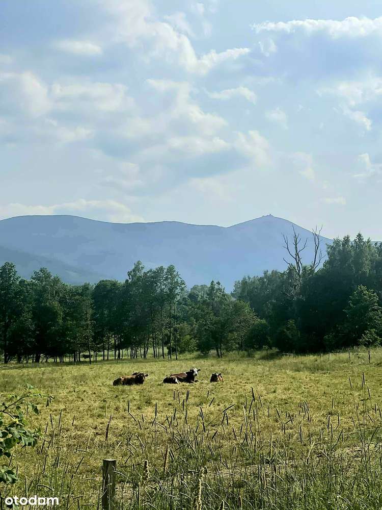 NOWA CENA - OKAZJA! Działka z widokiem na Śnieżkę-0