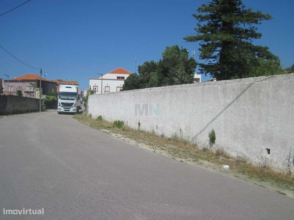 Terreno  c/ 10.000 M2 na Figueira da Foz-26