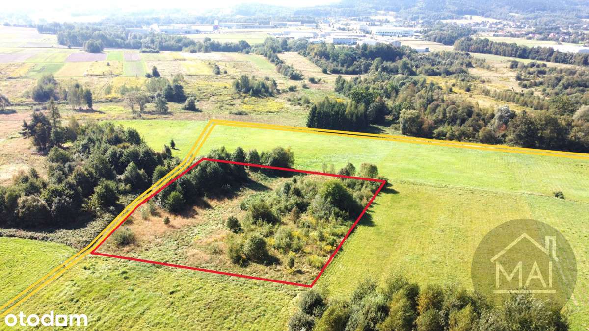 Działka Rolna W Trakcie Przekształcenia Na Pu - Pełny obrazek: 4/4