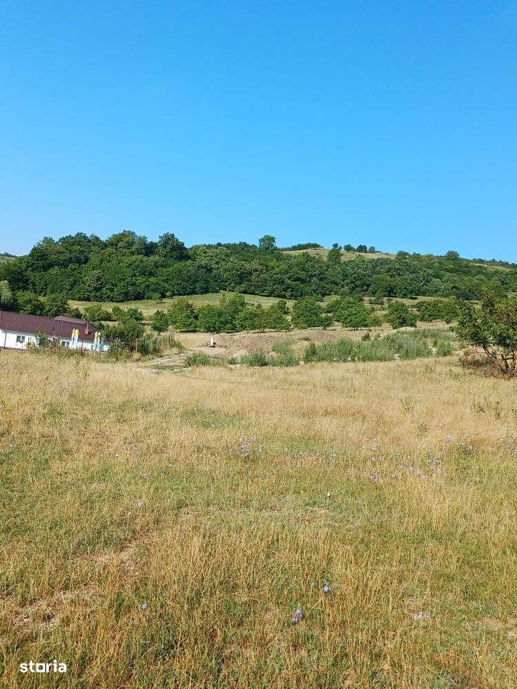 Teren DE VANZARE , In Tarnaveni!-1