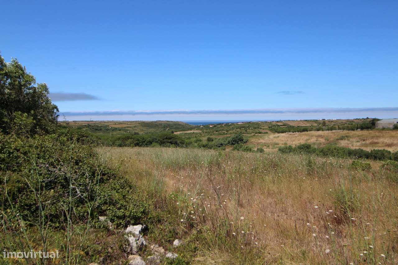 Terreno rústico com  1.160m²  na Assafora - Grande imagem: 4/6