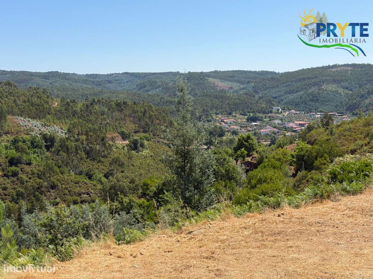 Quinta com moradia T3 , anexos e ruínas em Pedrógão Grande-58