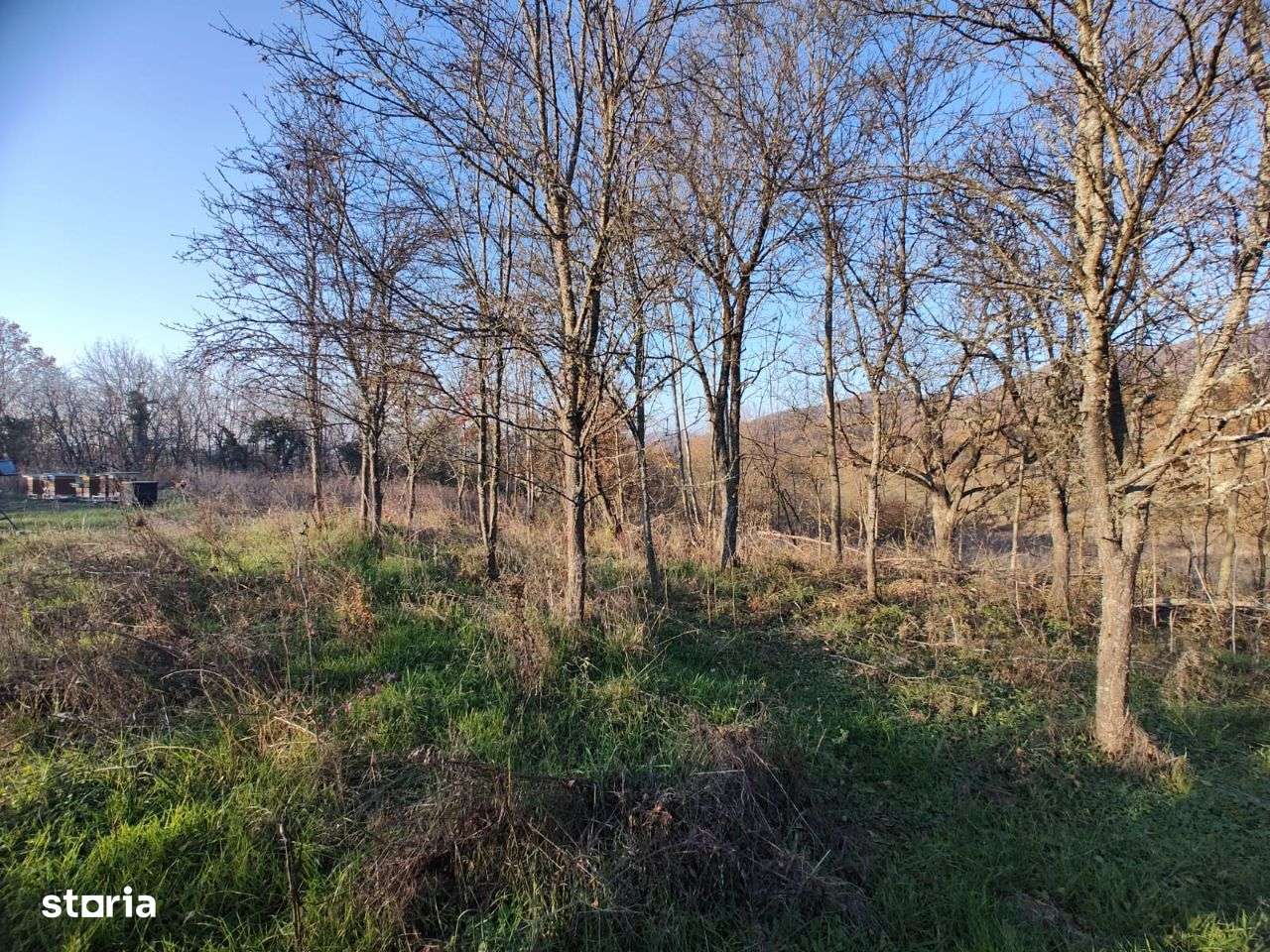 Teren 7696mp si casă de vanzare in com. Certeju de Sus - Imagine principală: 4/9
