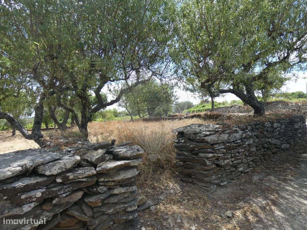 Terreno  para venda - Grande imagem: 4/4