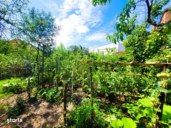 Casa 3 camere, Strada Izvorului, 306mp curte-11