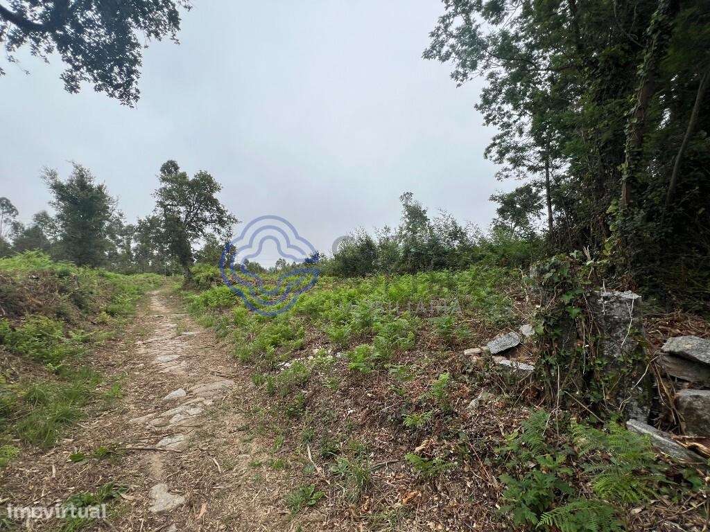 Terreno Rústico para Construção - Grande imagem: 2/18