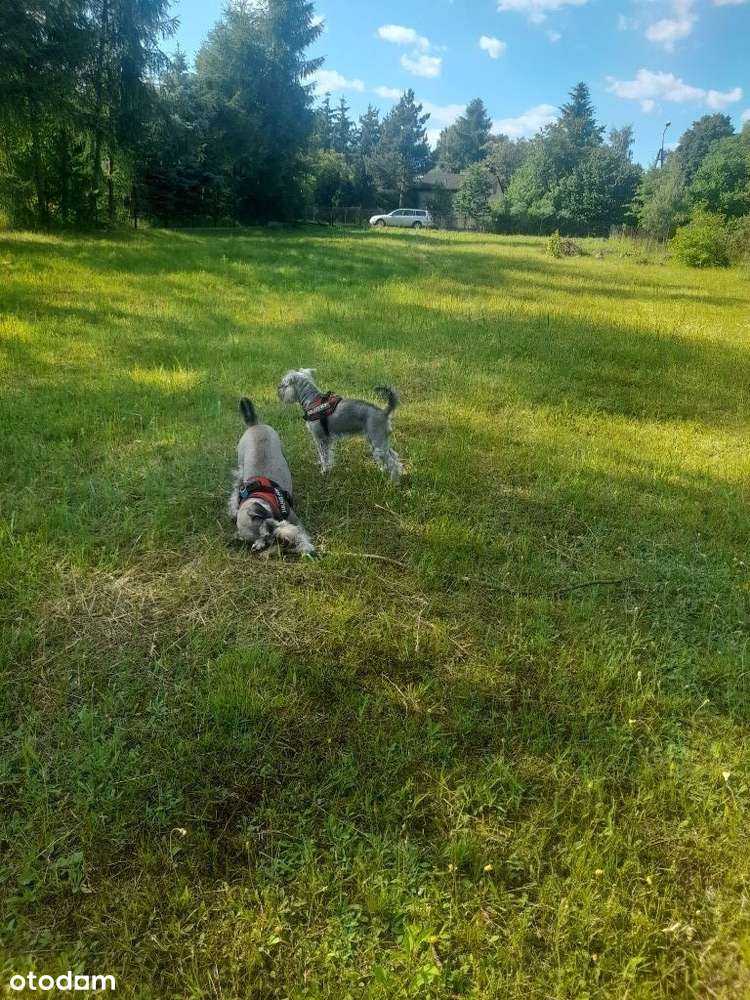Działka budowlana z pozwoleniem na budowę - Pełny obrazek: 2/7