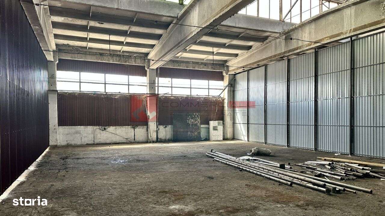 HALA 240 MP - PRET ATRACTIV - ACCES FACIL - CODLEA - Imagine principală: 4/8