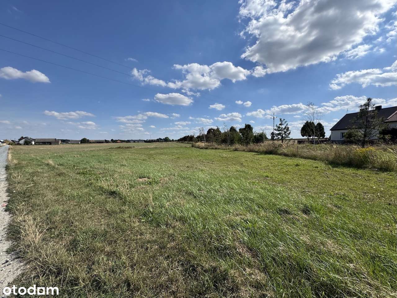 Działka 20 ar w centrum Chojęcina przy asfalcie-8