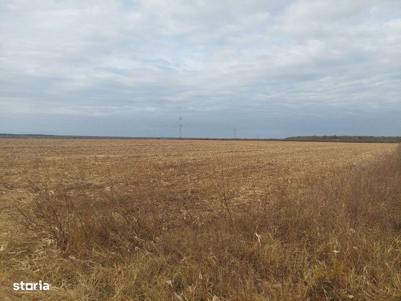 Teren dezvoltare rezidentiala / industriala - Dumbrava - comision 0%!-1