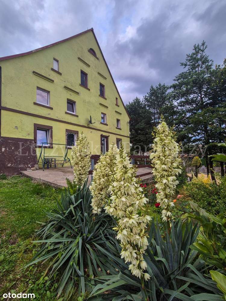 Dom z dużą działką - Pasiecznik - Pełny obrazek: 5/20