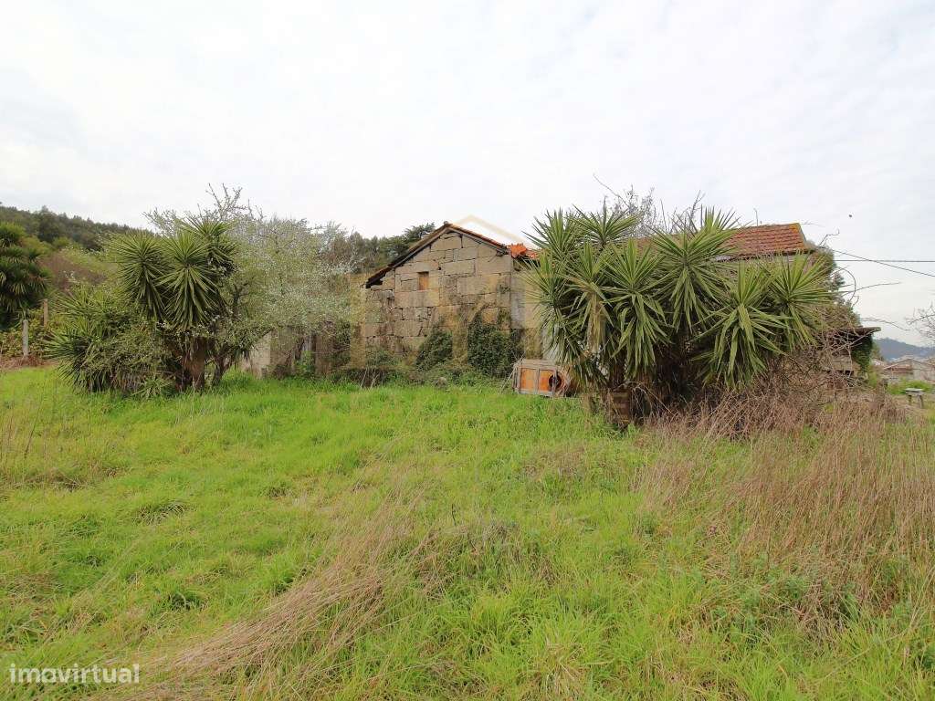 Quintinha para recuperar em Luzim Penafiel-7