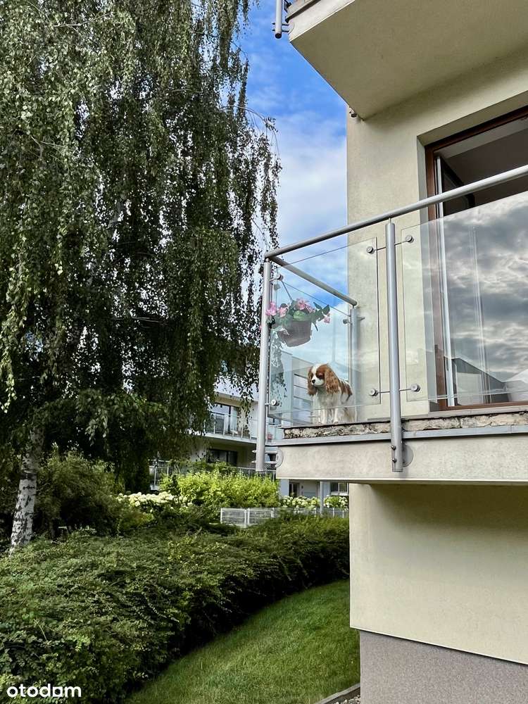 Bezpośrednio 2-pok, 45m, Bluszczańska, garaż w cenie - Pełny obrazek: 5/7