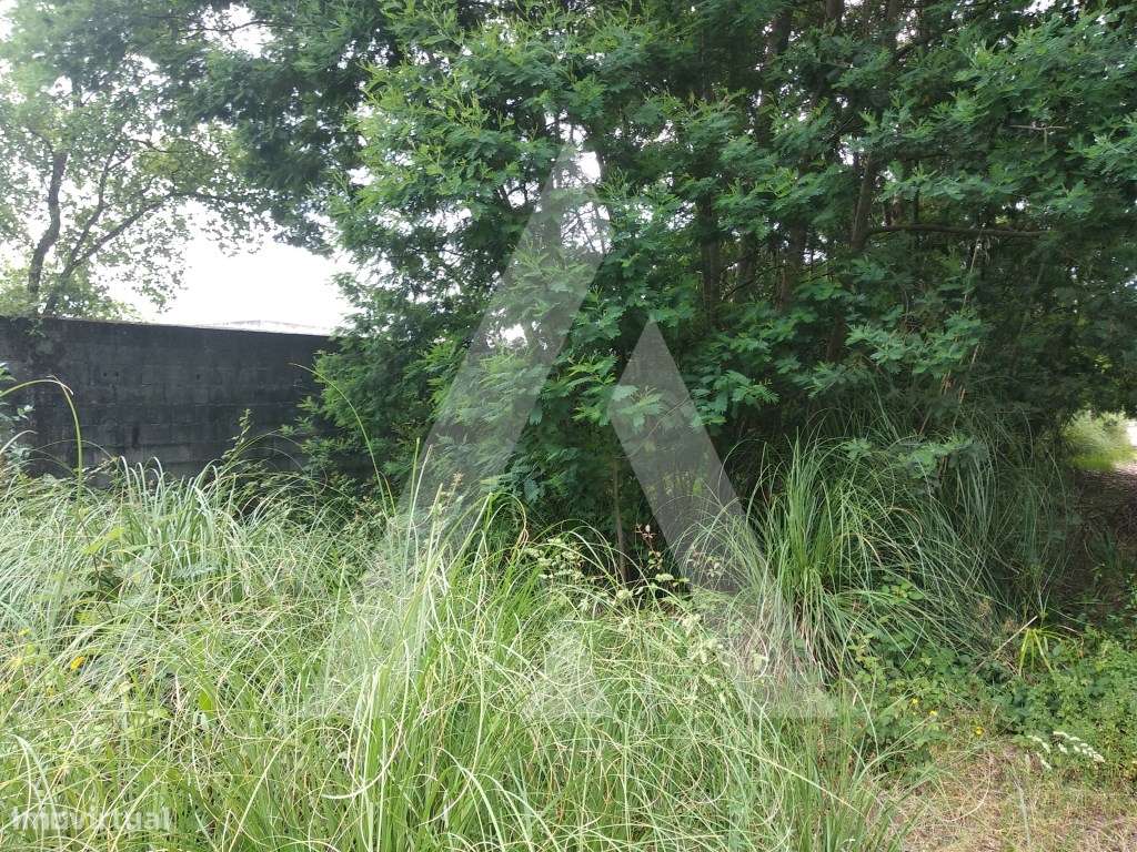 Terreno Industrial em Loureiro, Oliveira de Azeméis - Grande imagem: 5/8