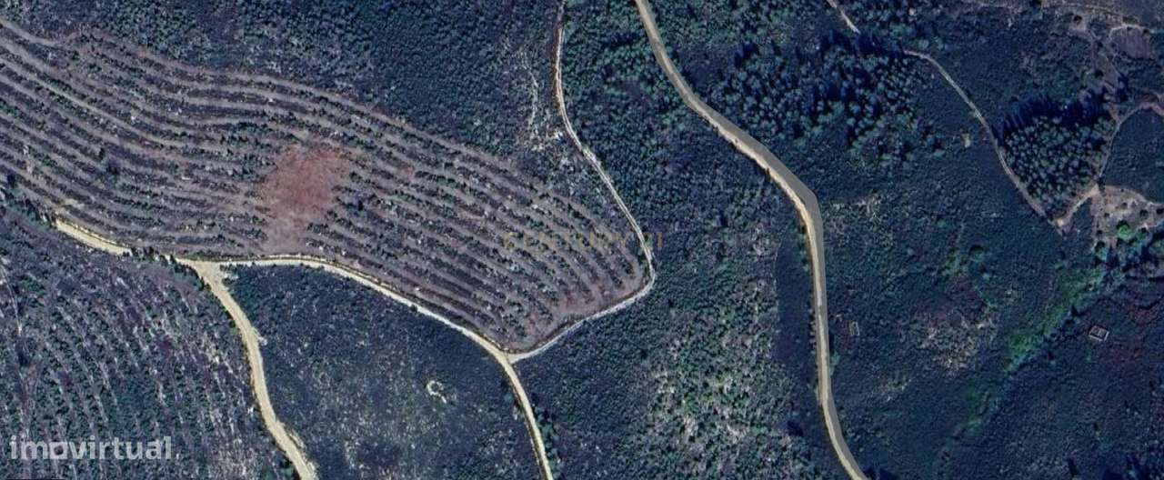 Terreno rústico com 7.640 m², Mação - Grande imagem: 4/4