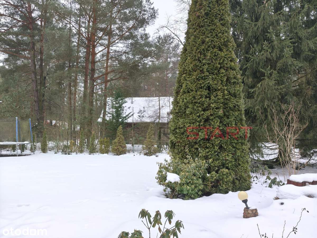 Domek letniskowy na zagospodarowanej działce-3