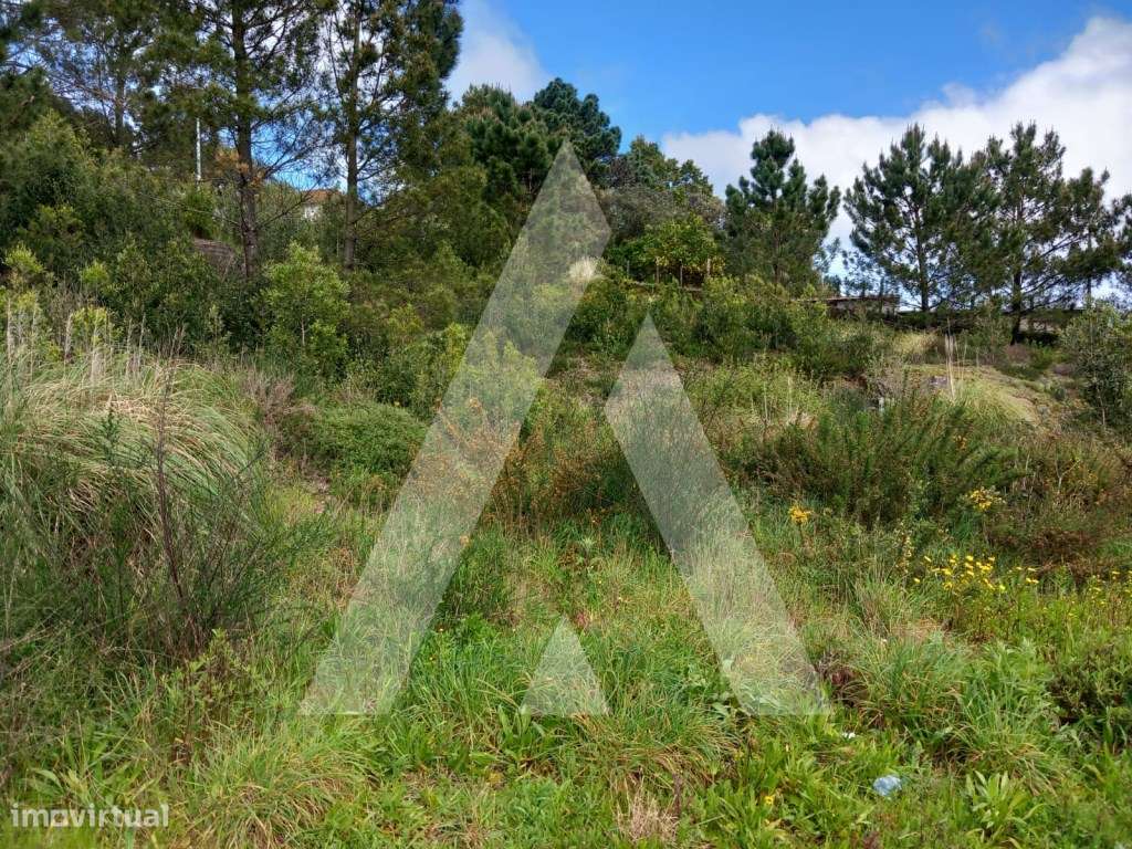 Terrenos para construção em Mozelos, Santa Maria da Feira-7