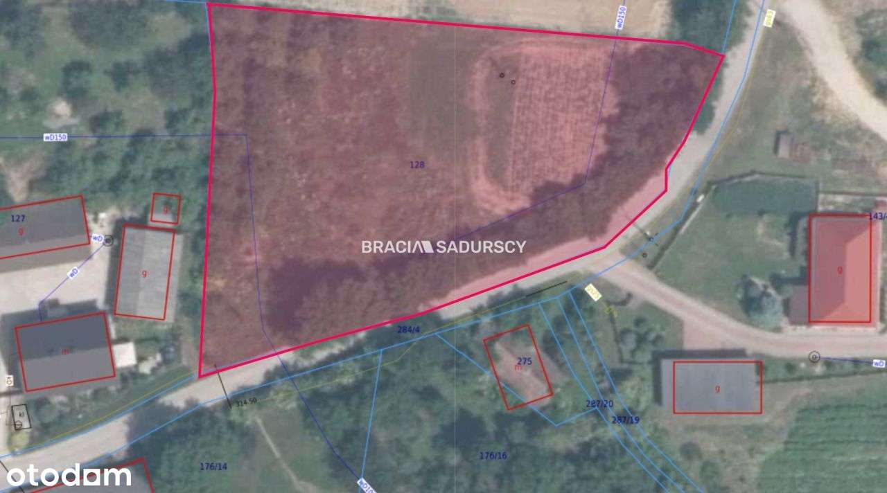 Działka budowlana 24,47 a, Damice blisko Krakowa - Pełny obrazek: 4/19