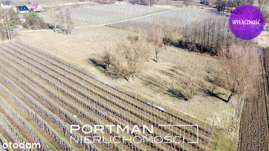 Piękna działka w Wildze, okolicy cichej i zielonej-2