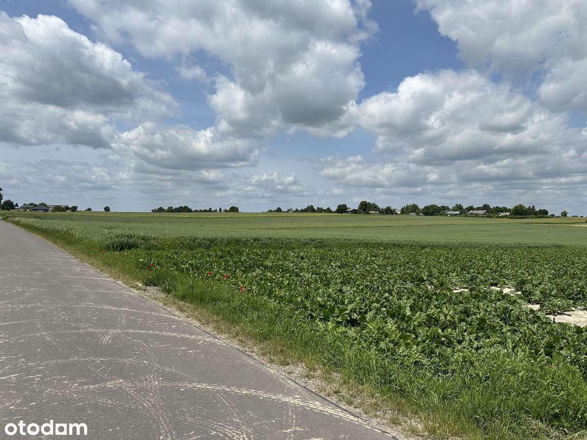 RPm 20m x ok. 230m media ul. Cicha - Pełny obrazek: 3/6