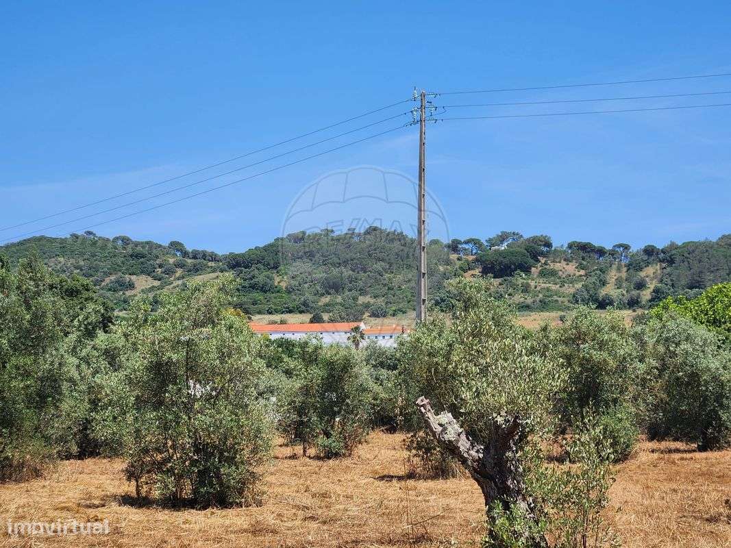 Terreno  para venda-9