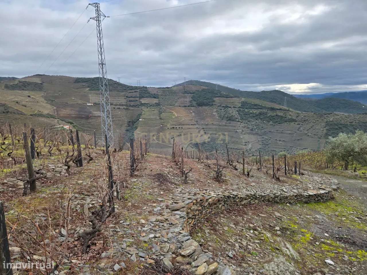 Tesouro Rústico no Coração do Douro – Um Convite à Natureza e à Tradiç - Grande imagem: 5/14