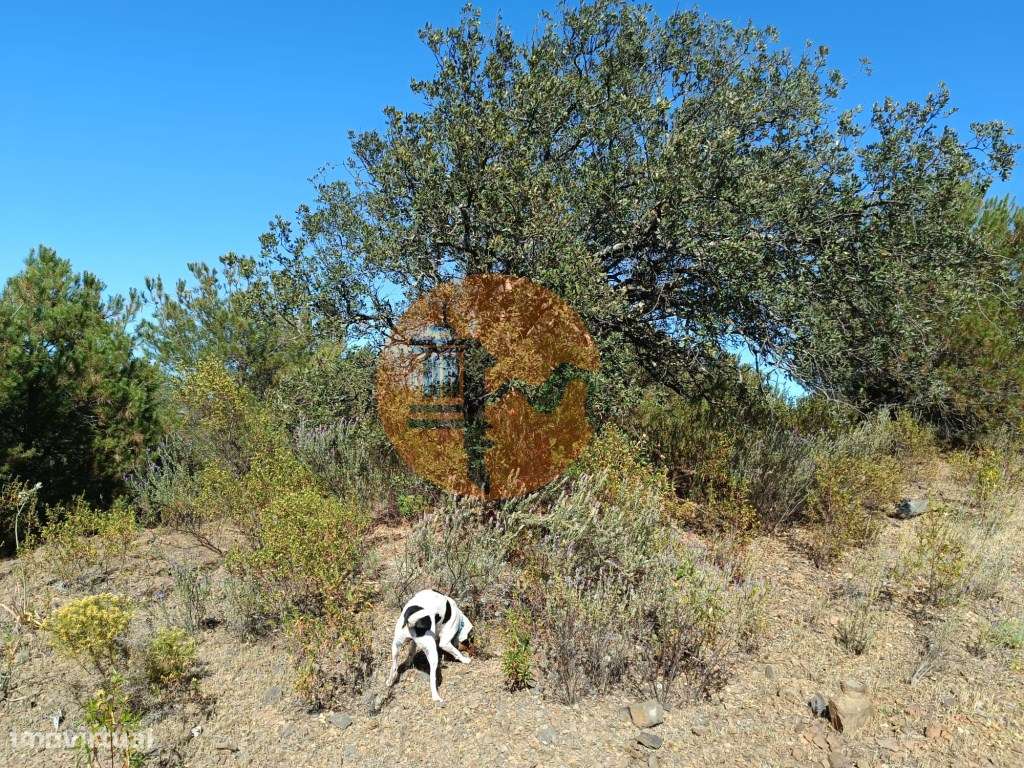 TERRENO COM 33.600 M2 - POSSIBILIDADE DE CONSTRUIR ARMAZEM - PRÓXIM... - Grande imagem: 4/33