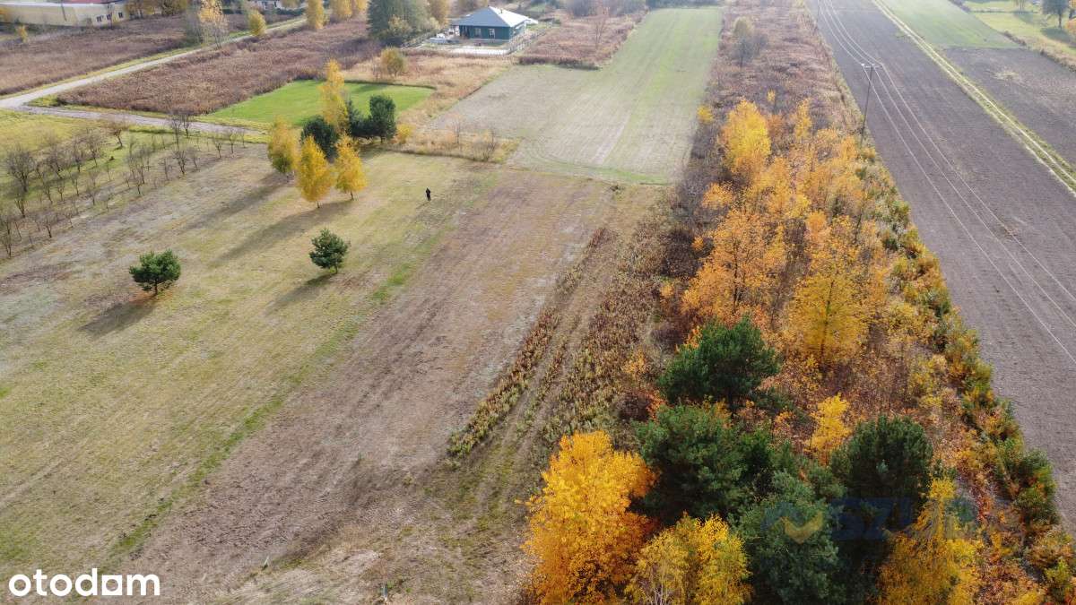 Działka Budowlana I Wśród Zieleni I 1735 m2 - Pełny obrazek: 5/9