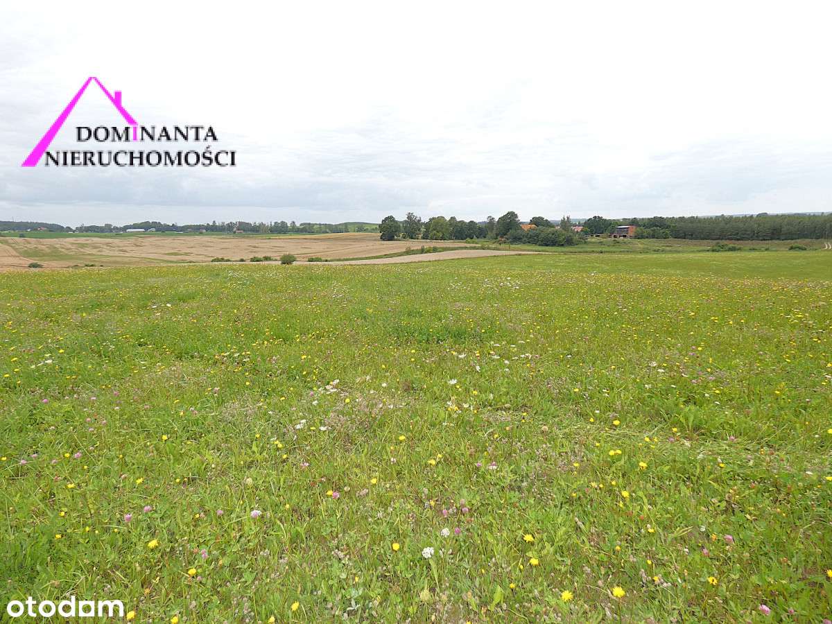 Działki rolne blisko lasu na Mazurach, 10 ha.-13