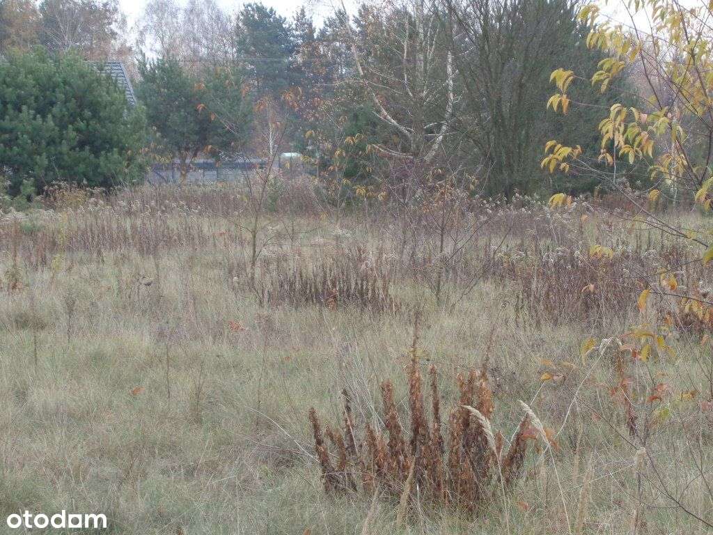 Działka budowlana w pobliżu Kampinoskiego P. N.-4