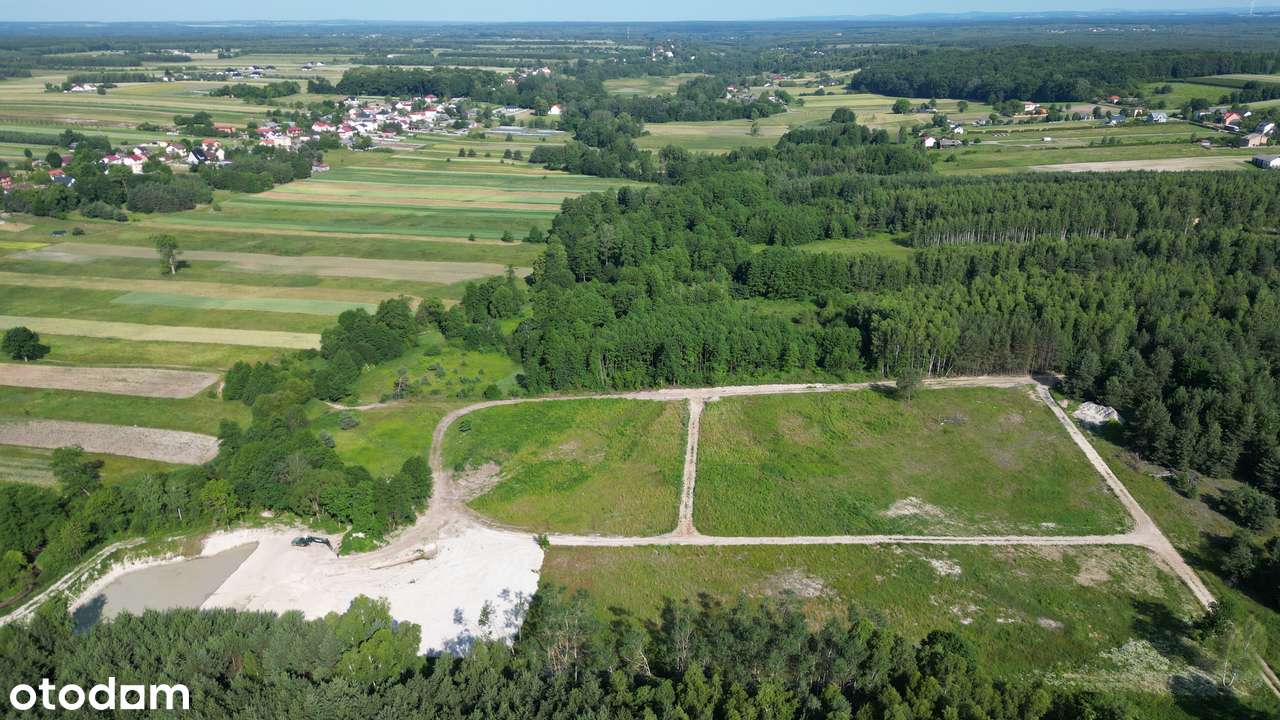 Działki budowlane na sprzedaż – Wiśniowa k. Staszowa - Pełny obrazek: 5/9