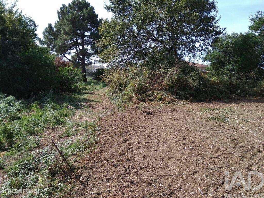 Terreno para construção em São Félix da Marinha de 200,00 m2 - Grande imagem: 5/12