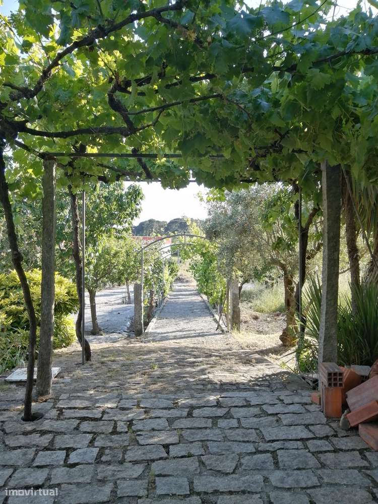 Quinta Vale do Caramulo - Grande imagem: 3/10