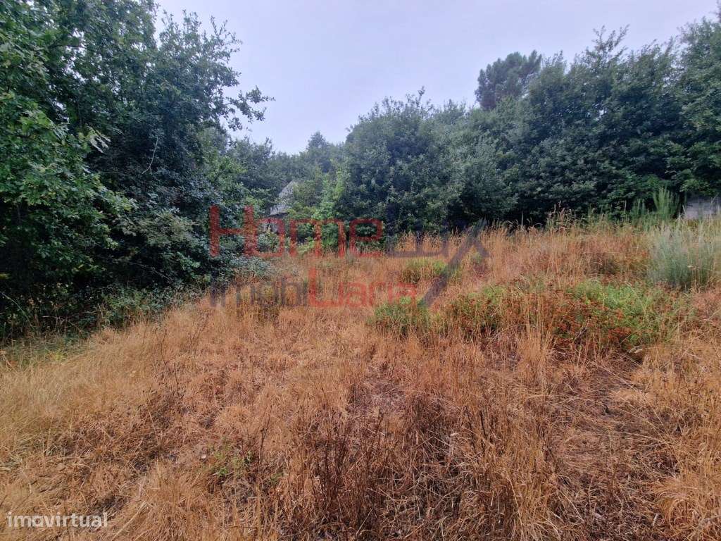 Terreno em Vila Cova à Coelheira com viabilidade de construção - Grande imagem: 5/25