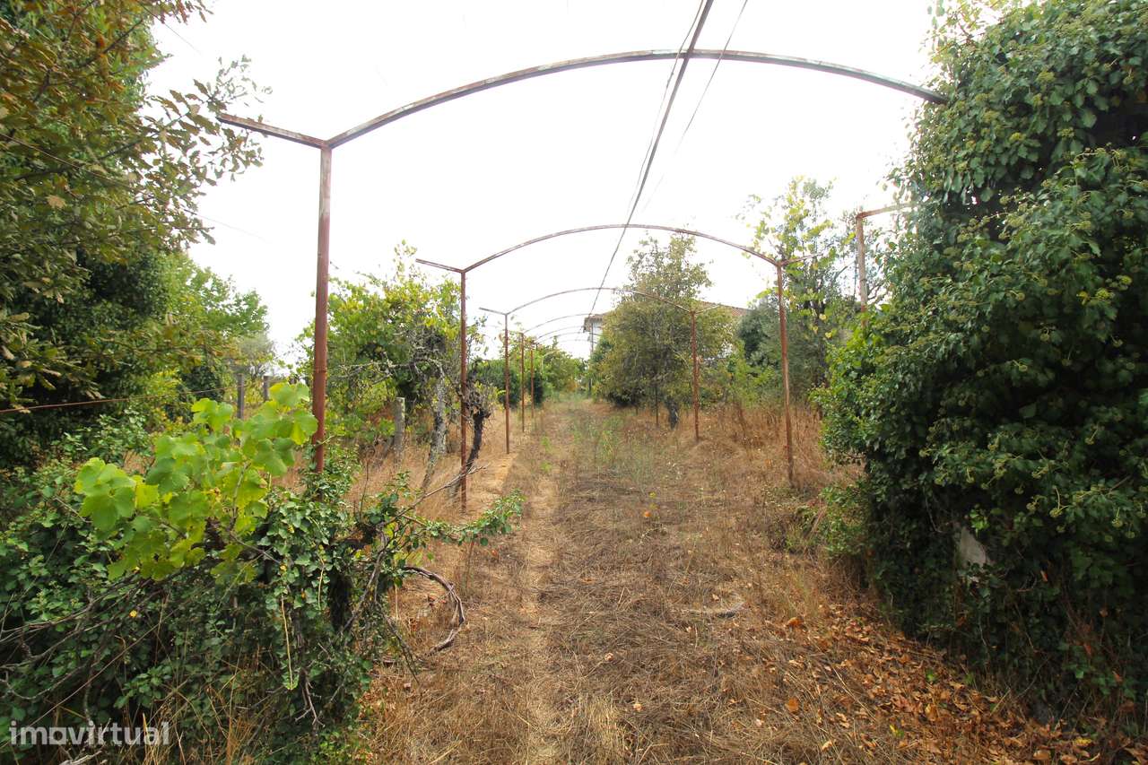 Quinta com 8.000 m² a apenas 10 km do centro de Viseu-34